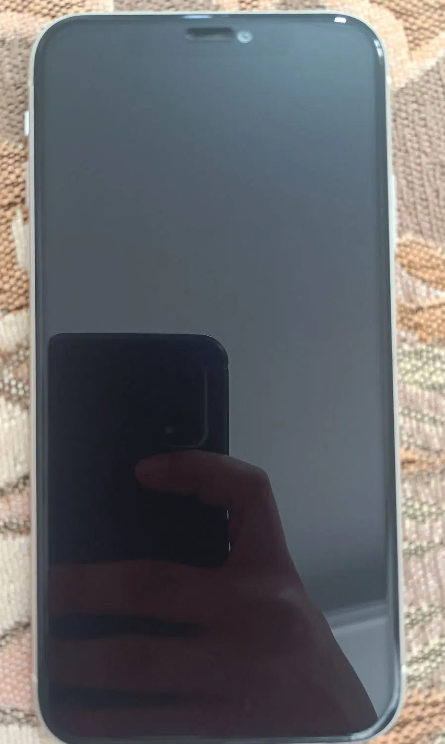 iPhone 11|موبایل|تهران, زهتابی|دیوار