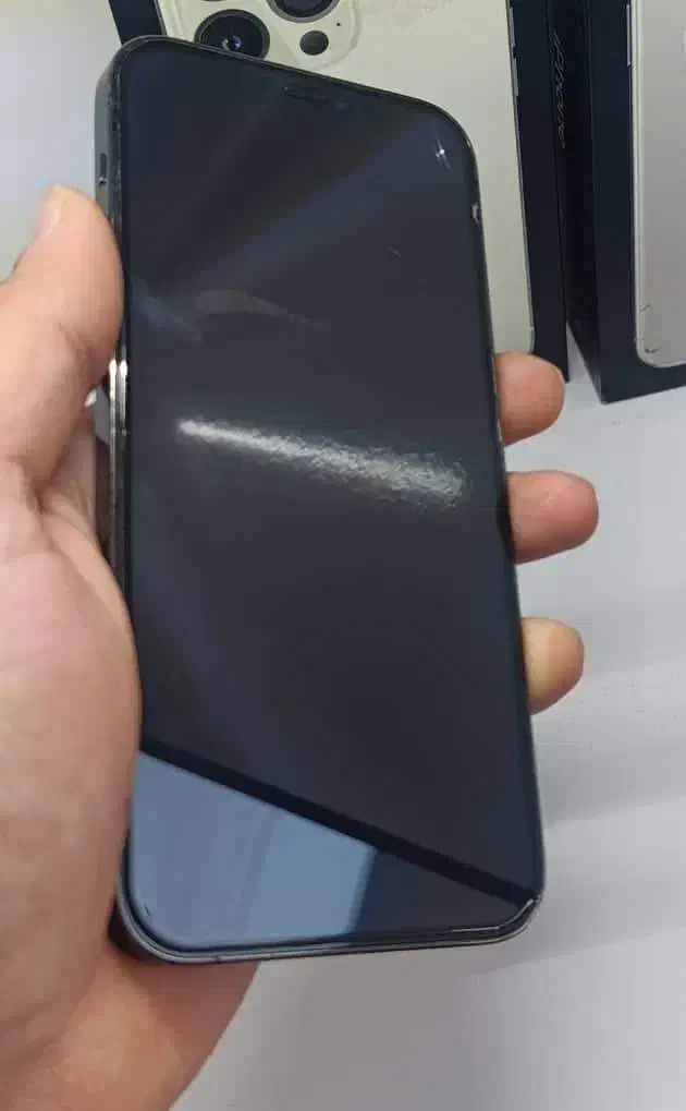 12 PRO 256 ZAA|موبایل|بوشهر, |دیوار