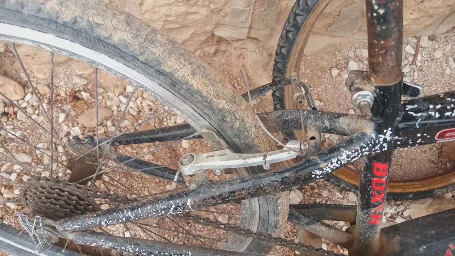 دوچرخهسواری ۲۴|دوچرخه، اسکیت، اسکوتر|رودشت (چهارمحال و بختیاری), |دیوار