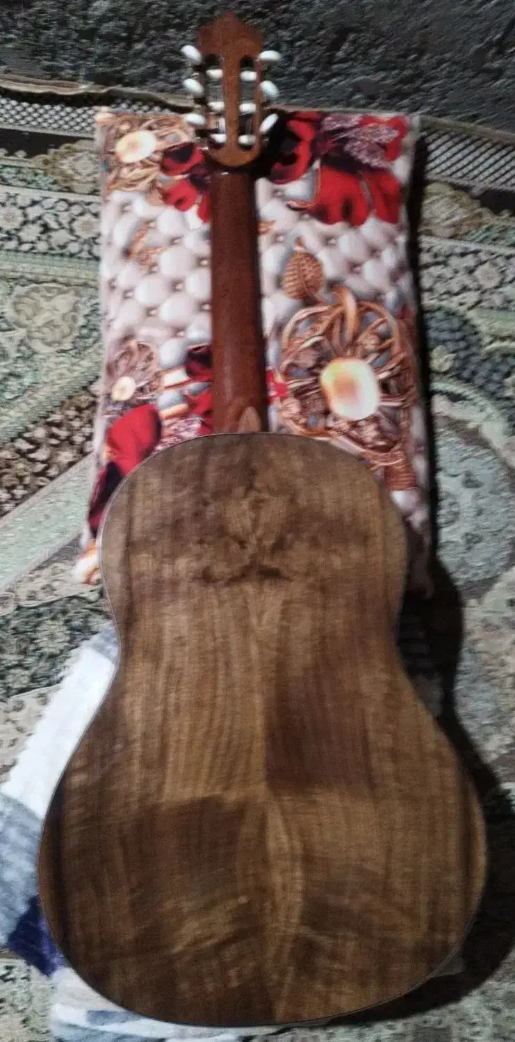 گیتار دست ساز Doris DS+|گیتار، بیس، امپلیفایر|میناب, |دیوار