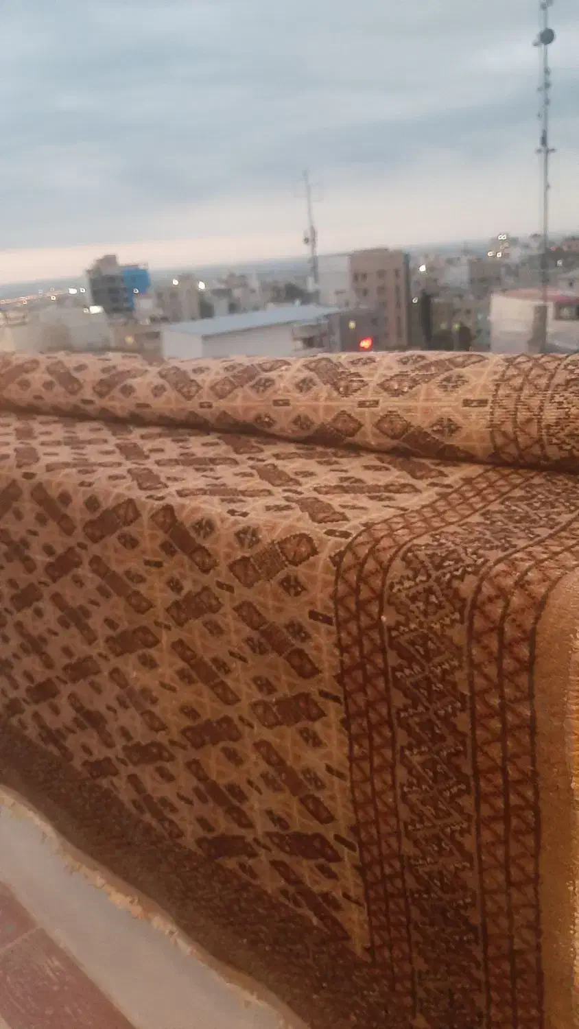 قالیچه دستباف ترکمن|فرش|گرگان, |دیوار