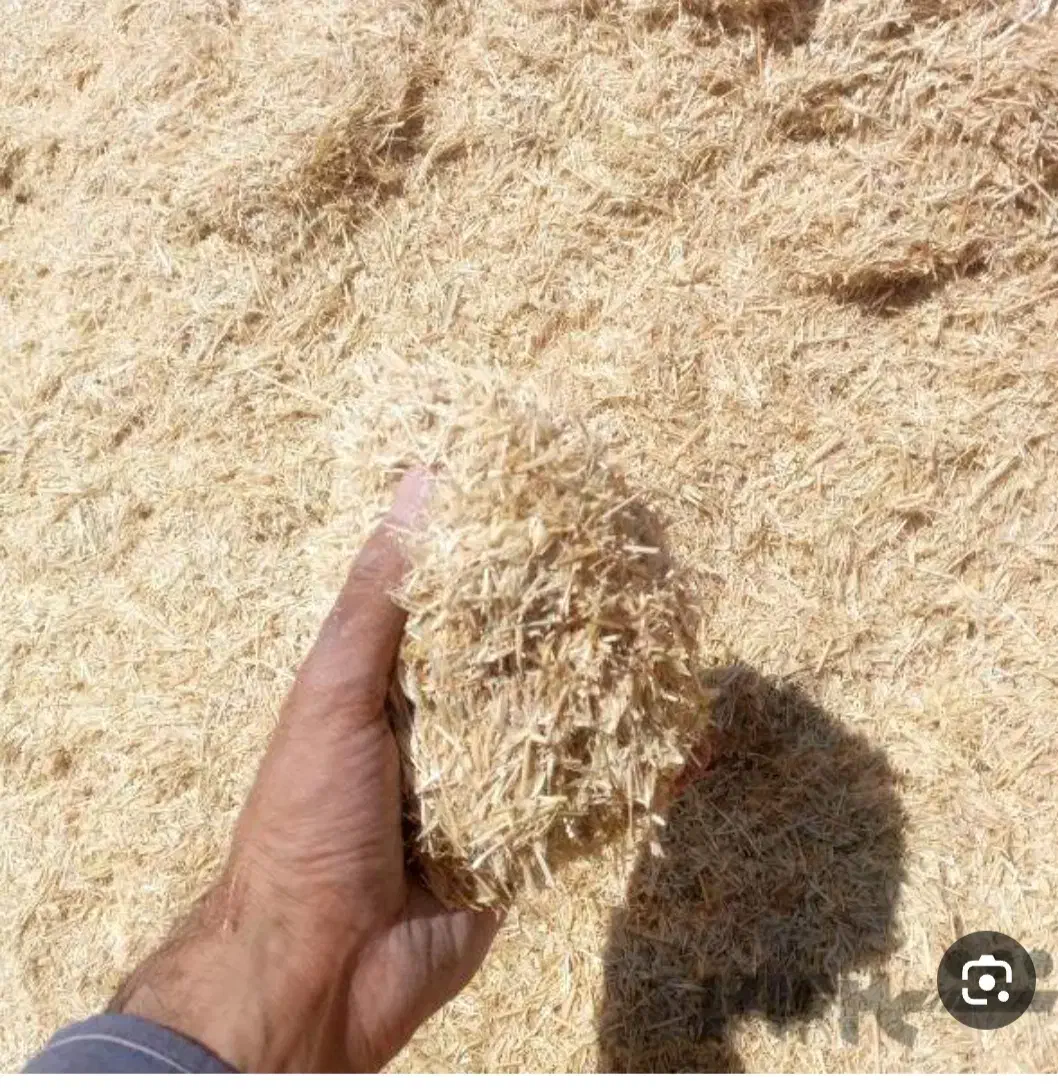 کاه گندم|خدمات باغبانی و درختکاری|گیلان غرب, |دیوار