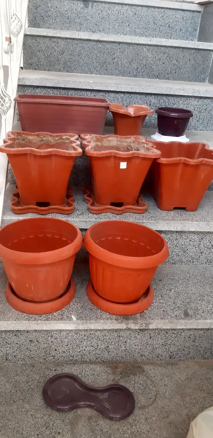 گلدان پلاستیک مرغوب وضخیم|گل و گیاه طبیعی|سهند, |دیوار