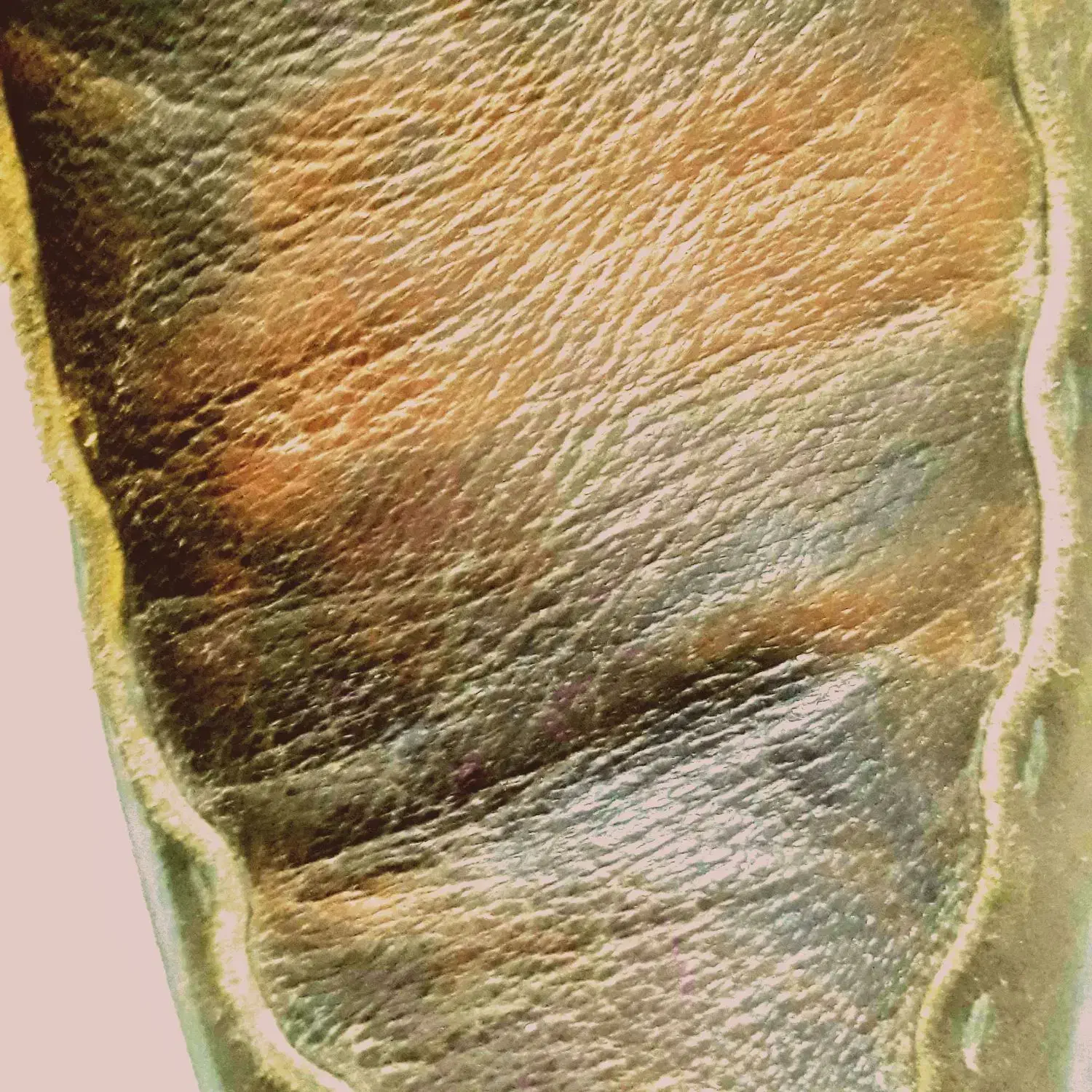 کفش ایتالیایی|کیف، کفش، کمربند|خمینیشهر, |دیوار