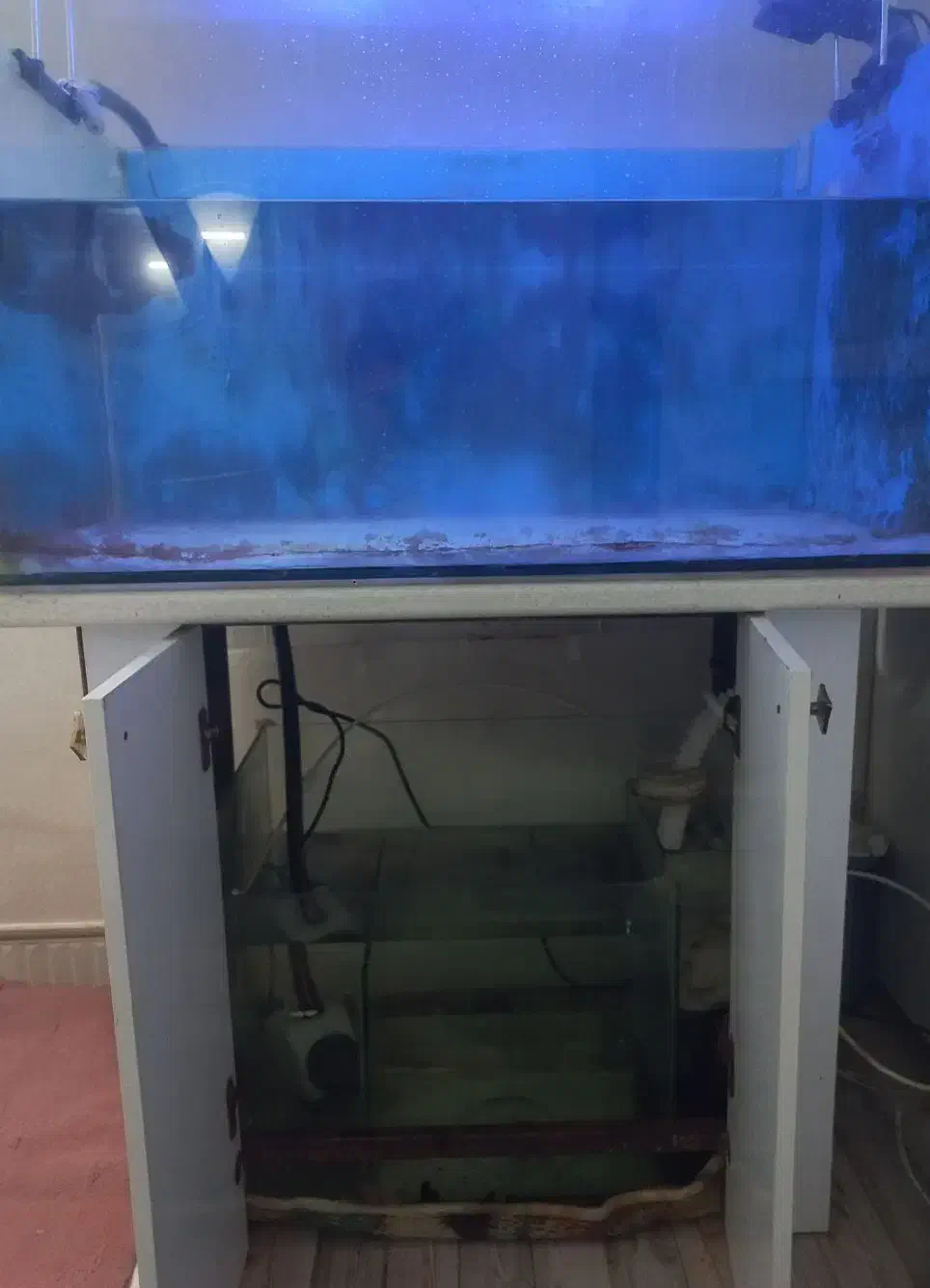 آکواریوم سامپ دار|ماهی|قرچک, مهدیه|دیوار