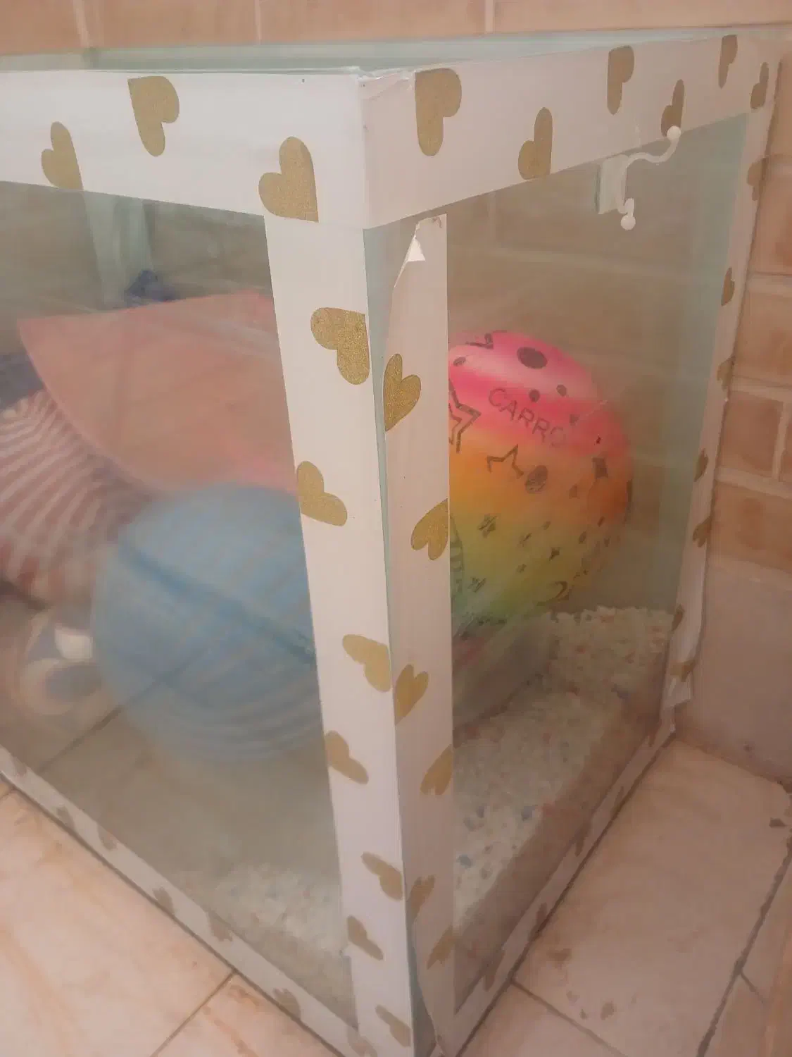 شیشه آکواریوم سالم|ماهی|یزد, |دیوار