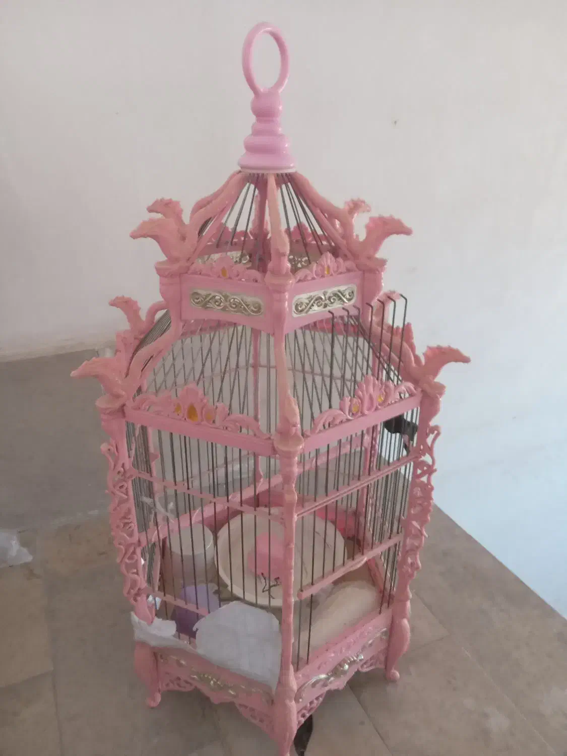 قفس پرنده|لوازم جانبی حیوانات|رباطکریم, الارد|دیوار