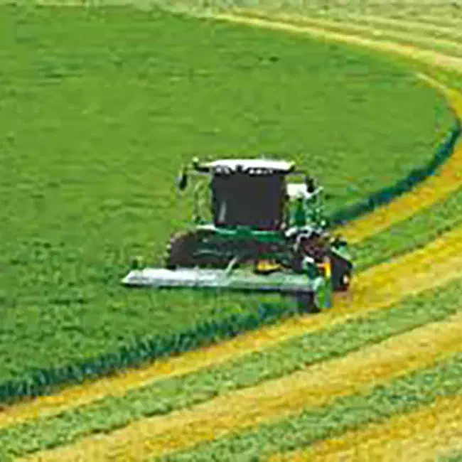 رتبه 5 کشاورزی( آریا کشاورز گندم )|خدمات مالی، حسابداری، بیمه|بوشهر, |دیوار