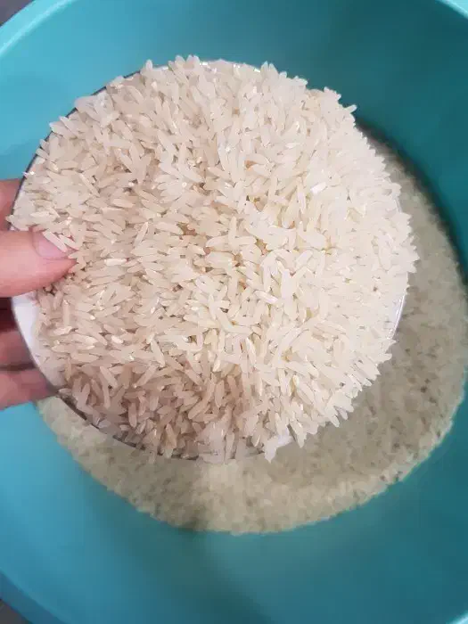 برنج کاملا خالص. ریتون ( دوبار نوج) با ضمانت|خوردنی و آشامیدنی|بابلسر, |دیوار