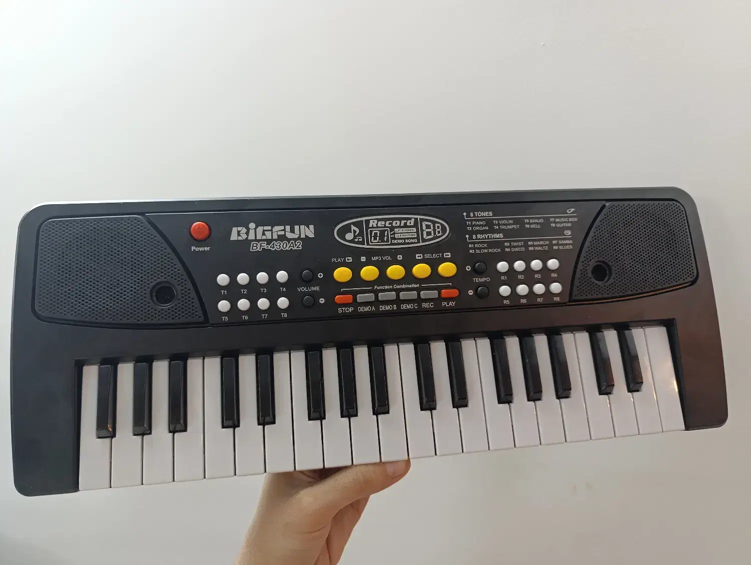 اورگ|پیانو، کیبورد، آکاردئون|یزد, |دیوار