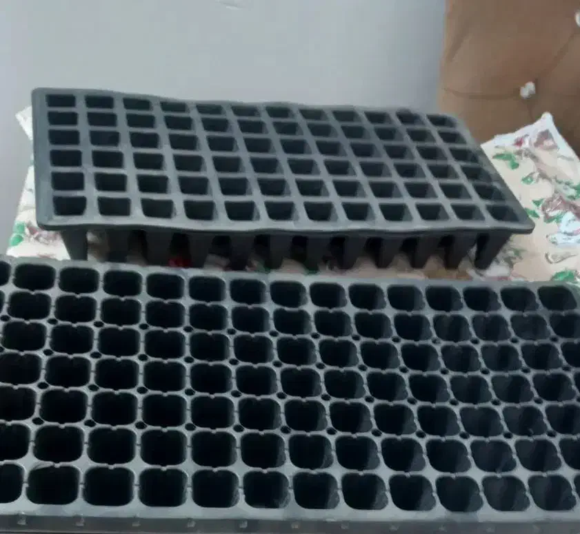 ظرف یکبار مصرف|ظروف نگهدارنده، پلاستیکی، یک‌بارمصرف|زنجان, |دیوار