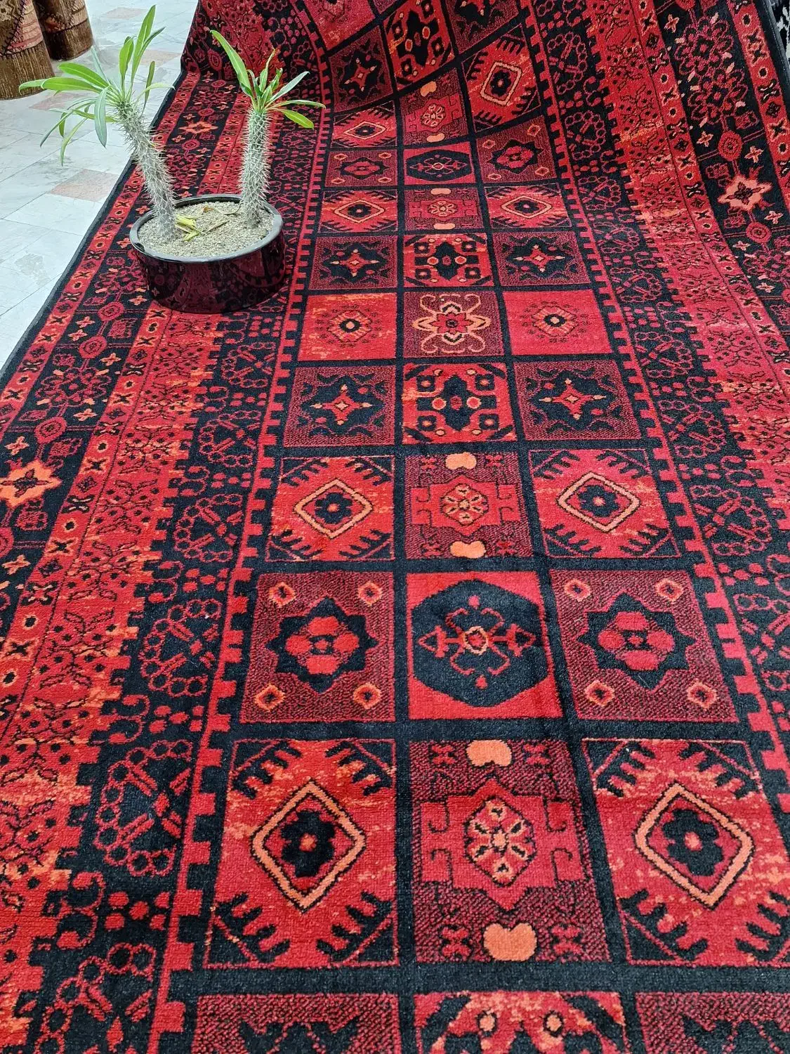 از تولید تا پخش با شماییم|فرش|قم, زند آباد|دیوار