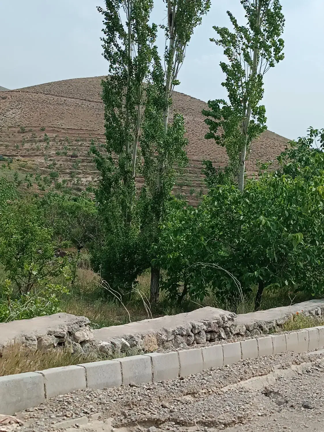 فروش زمین 307 متری با سند تک برگ و انشعابات کامل|فروش زمین و ملک کلنگی|لواسان, |دیوار