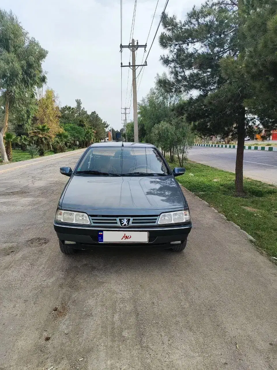 پژو|خودرو سواری و وانت|زاهدان, |دیوار