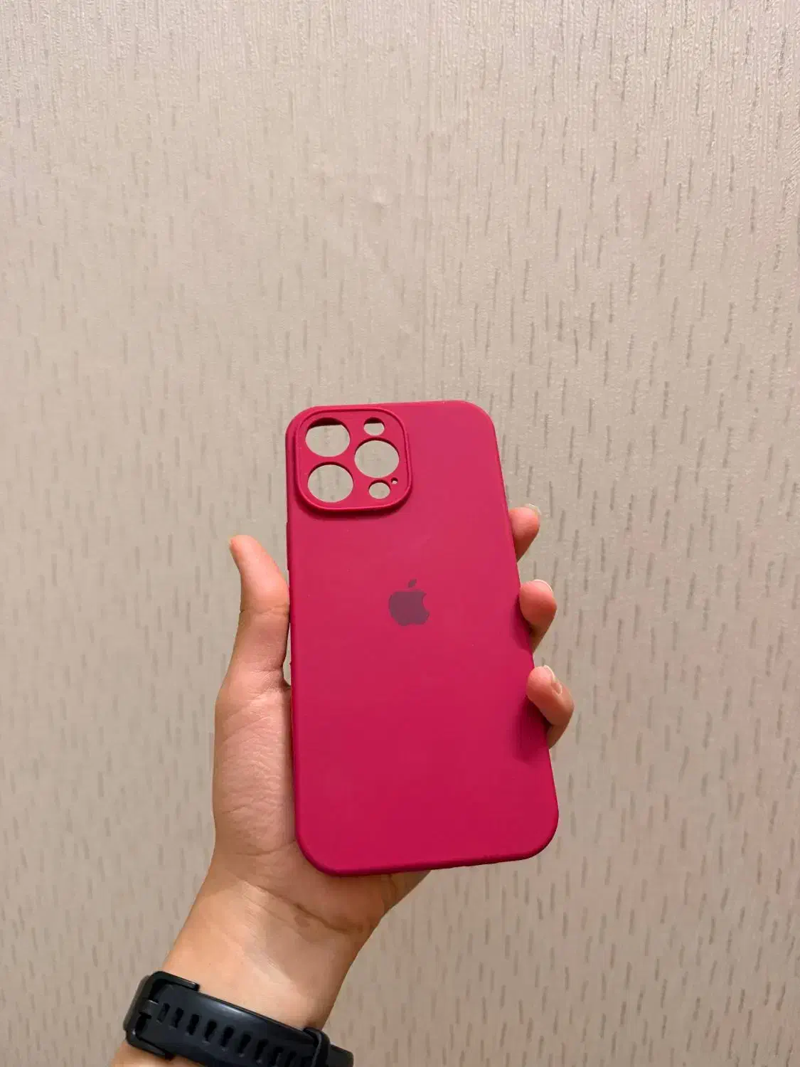 قاب ۱۶ پرو مکس|لوازم جانبی موبایل و تبلت|کرج, شاهینویلا|دیوار