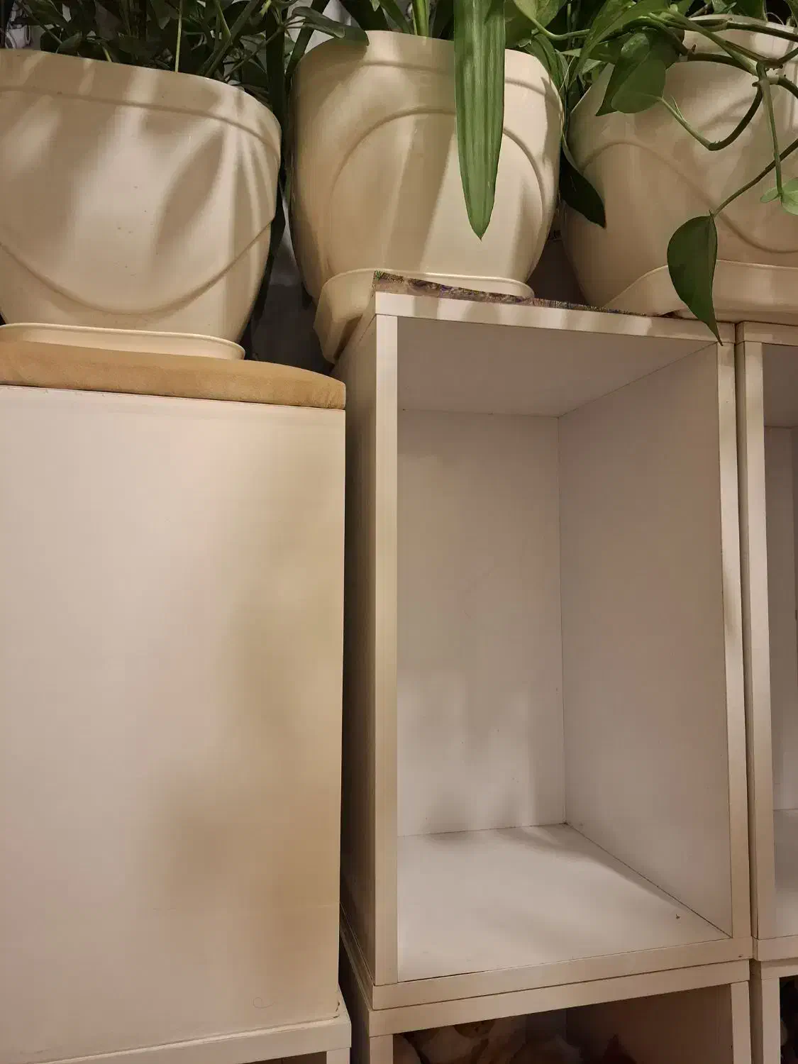 باکس یا دکور|کتابخانه، شلف، قفسههای دیواری|تهران, ابوذر|دیوار