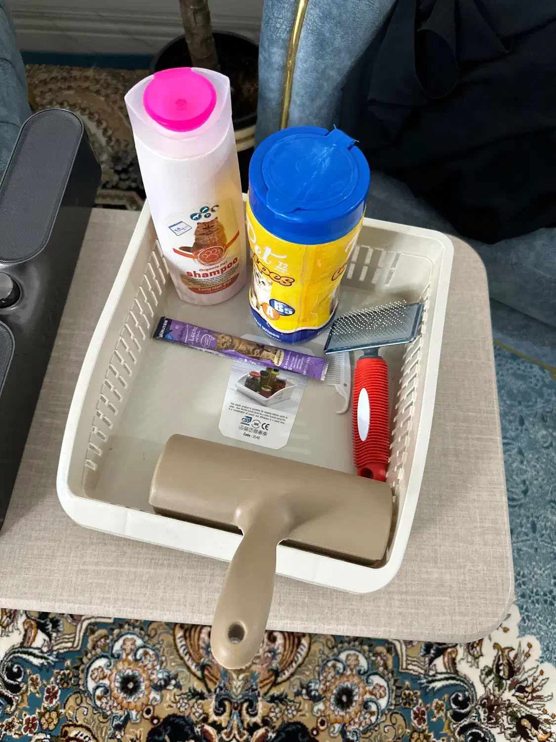 گربه پرشین|گربه|یزد, |دیوار