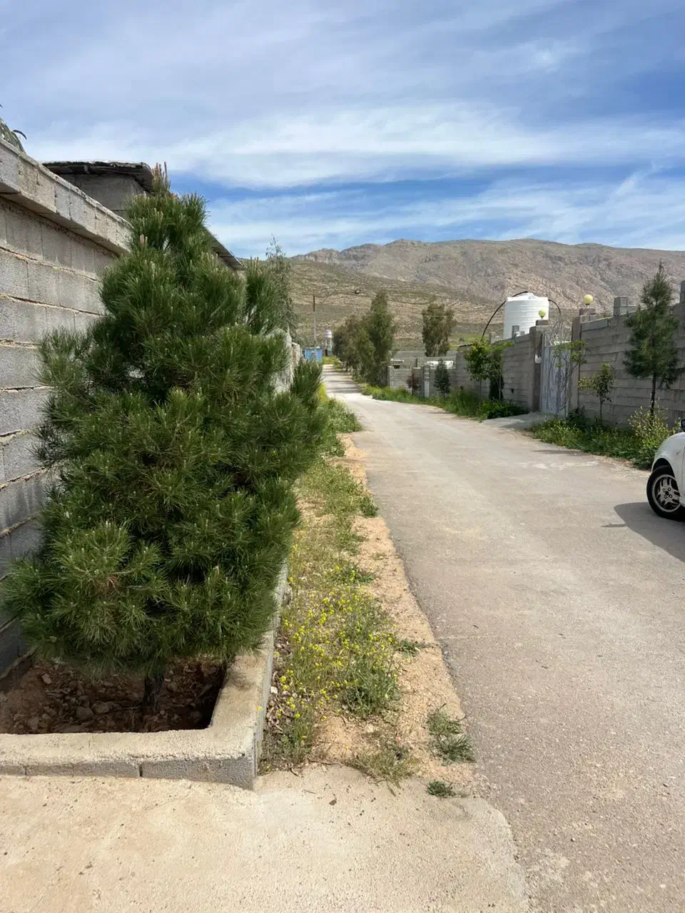 فروش باغ شهری ۱۰۰۰ متری|فروش خانه و ویلا|شیراز, داریون|دیوار