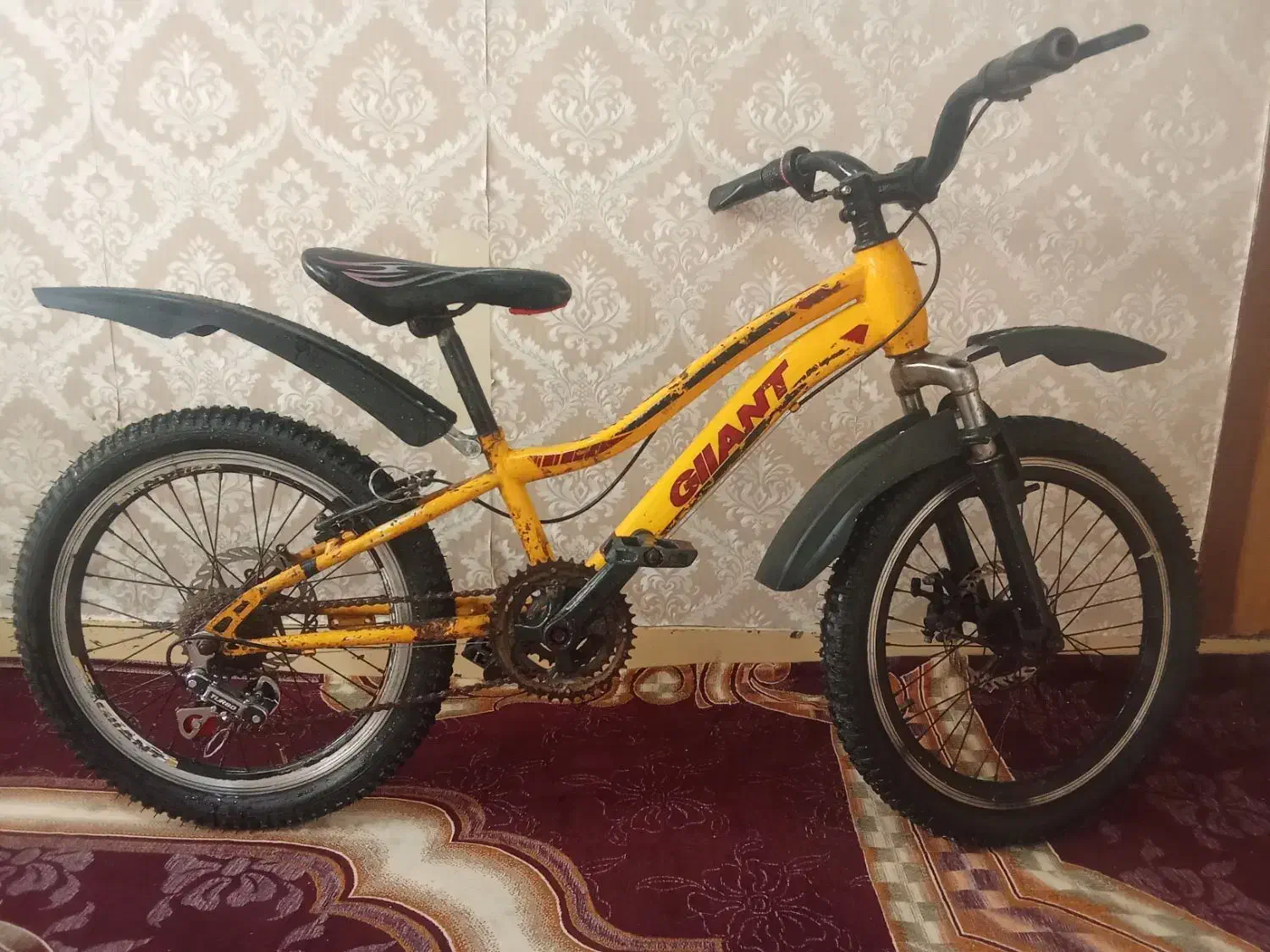 20دنده ای|دوچرخه، اسکیت، اسکوتر|شوشتر, |دیوار