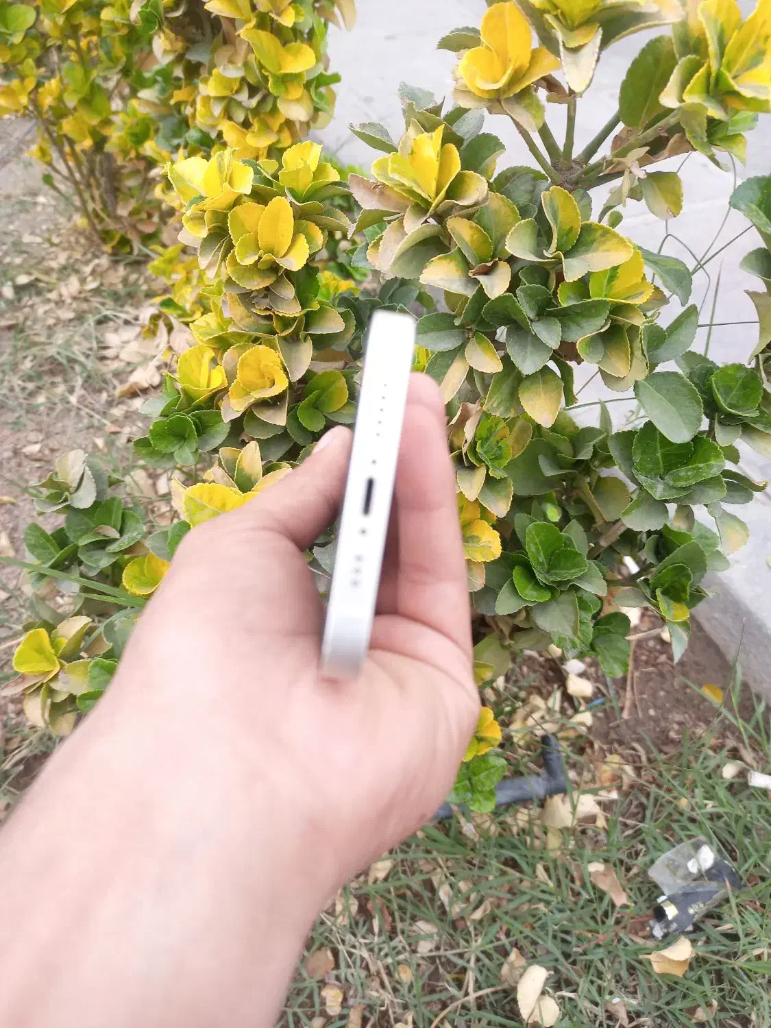 در حد نو|موبایل|یزد, |دیوار