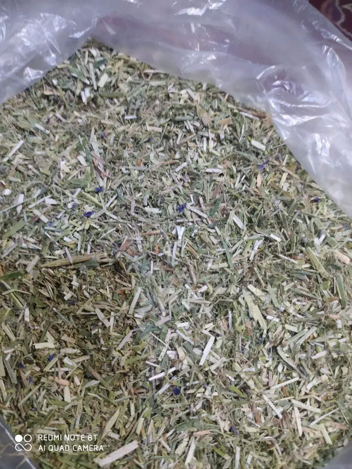 یونجه دیم|لوازم جانبی حیوانات|شیروان (خراسان), |دیوار