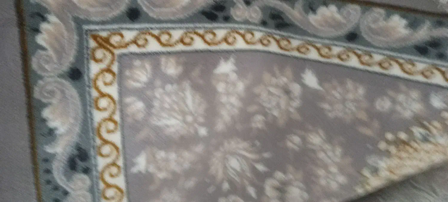 فرش|فرش|تربتحیدریه, ترمینال|دیوار