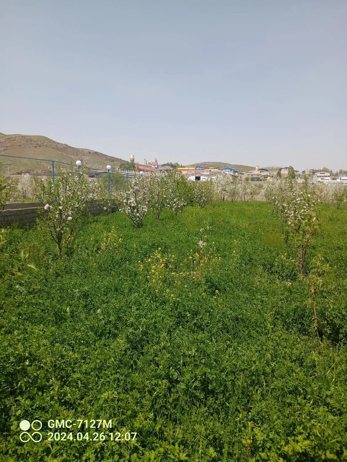 باغ در شهرستان اهر|فروش زمین و ملک کلنگی|اهر, |دیوار