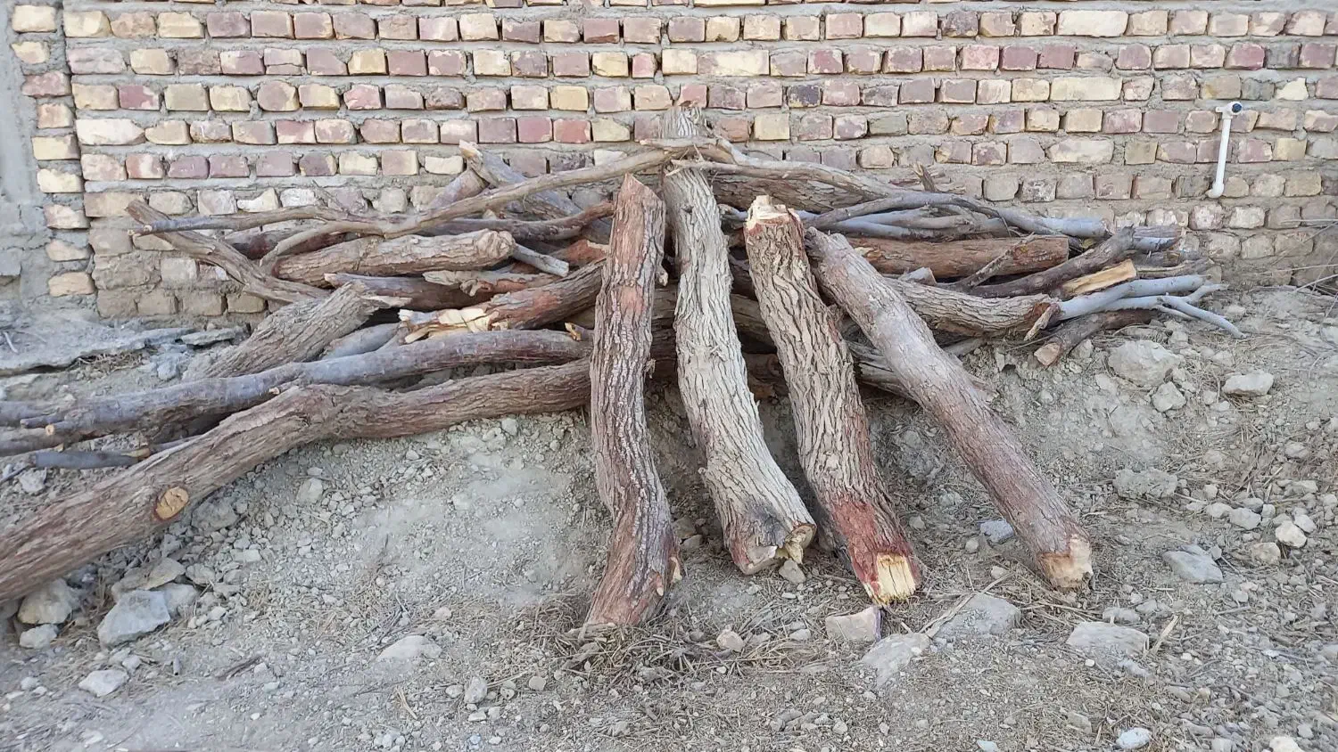 چوب تنور|اجاق گاز و لوازم برقی پختوپز|زابل, |دیوار