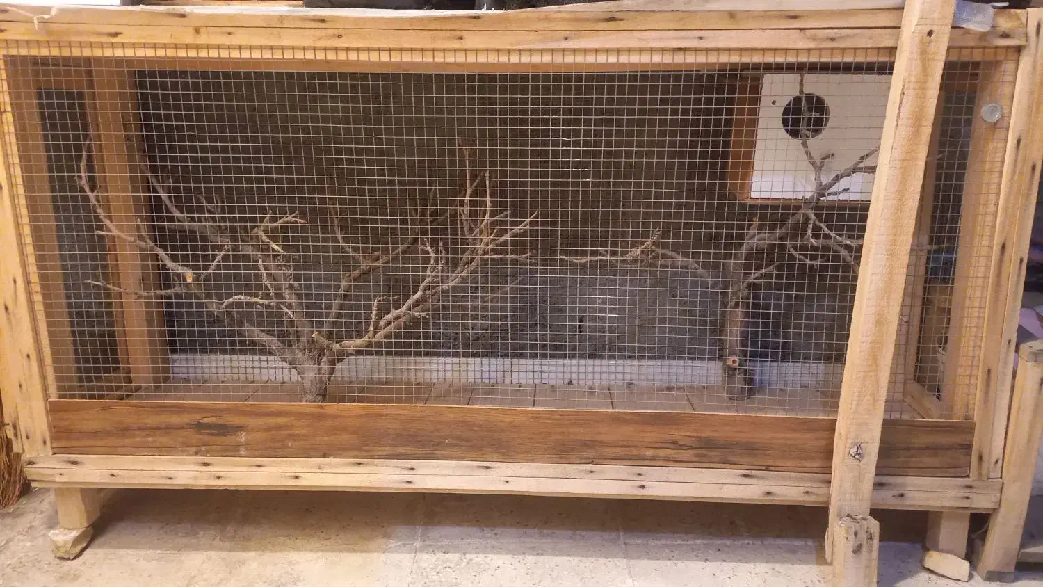 قفس پرنده|لوازم جانبی حیوانات|طرقبه, |دیوار