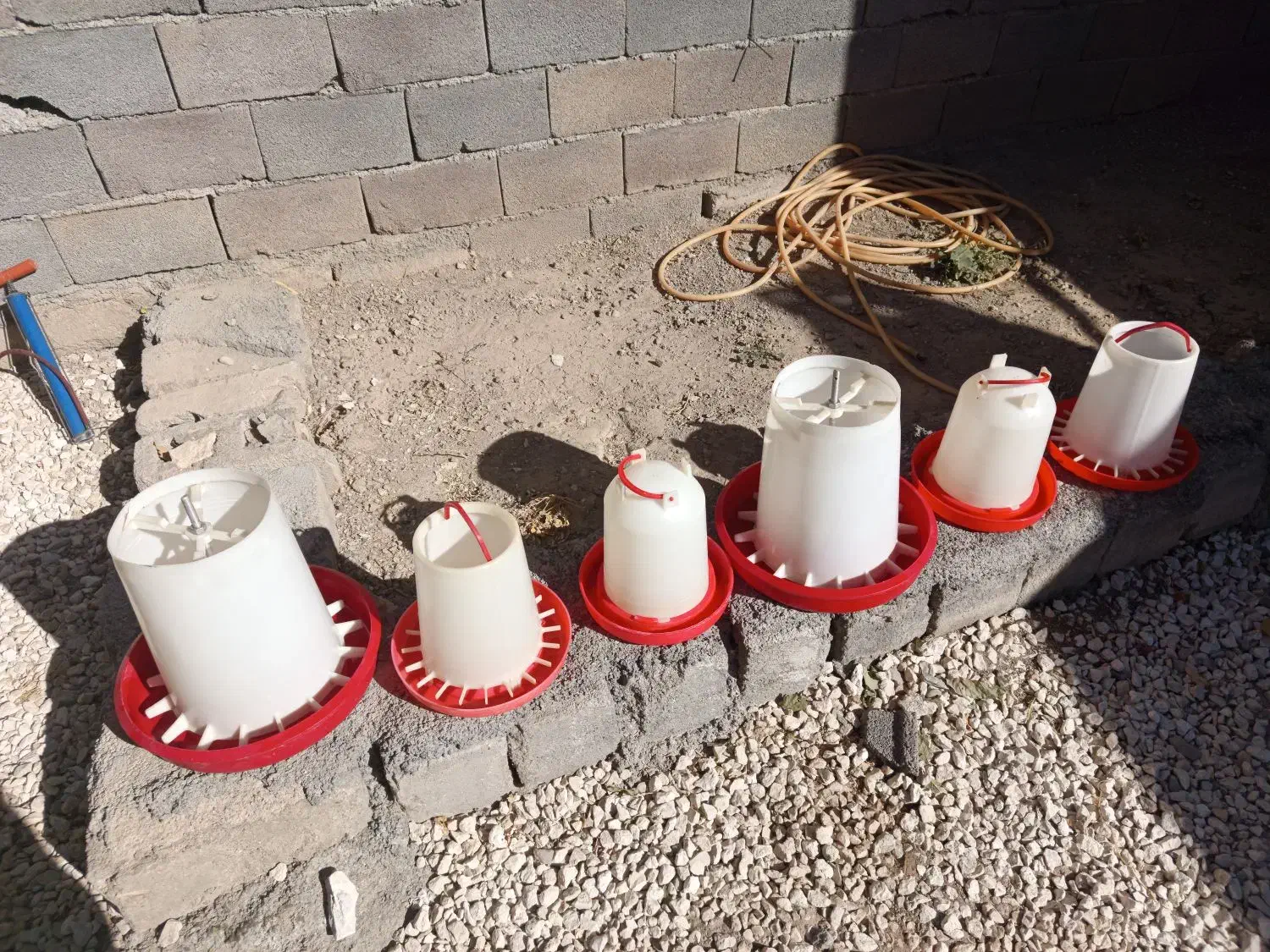 دونخوری و آبخوری|لوازم جانبی حیوانات|کبودرآهنگ, |دیوار