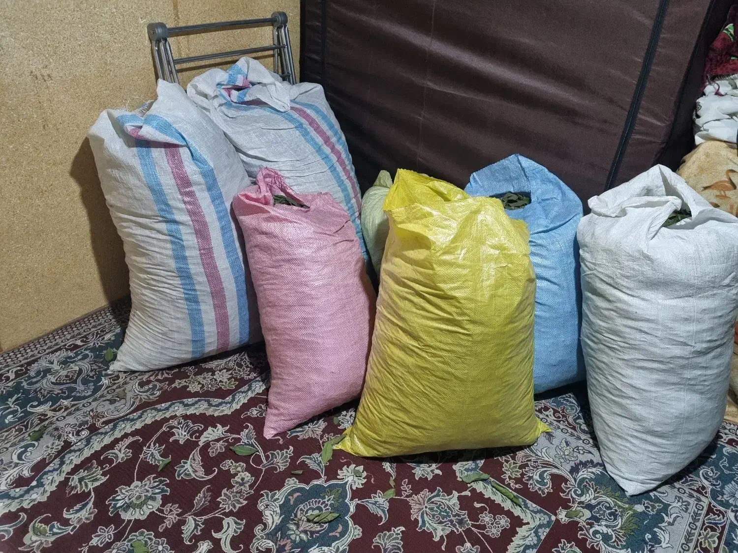 فروش برگ بو|خدمات باغبانی و درختکاری|چابکسر, |دیوار