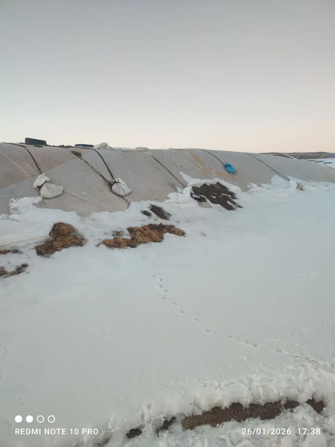 کاه|حراج|قیدار, |دیوار