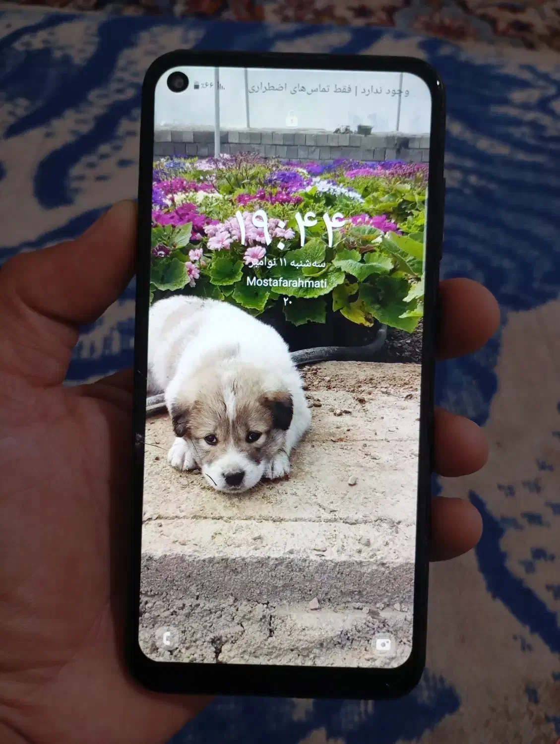 گوشیA11|موبایل|گرگان, |دیوار