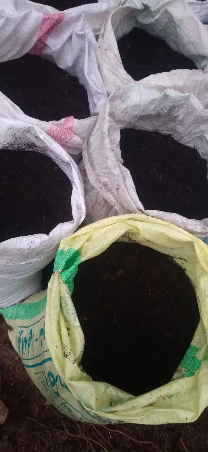 کود گاوی|خدمات باغبانی و درختکاری|فومن, |دیوار