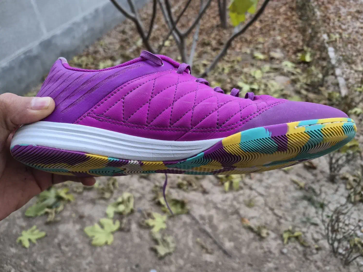 کفش فوتسال|کیف، کفش، کمربند|آشخانه, |دیوار