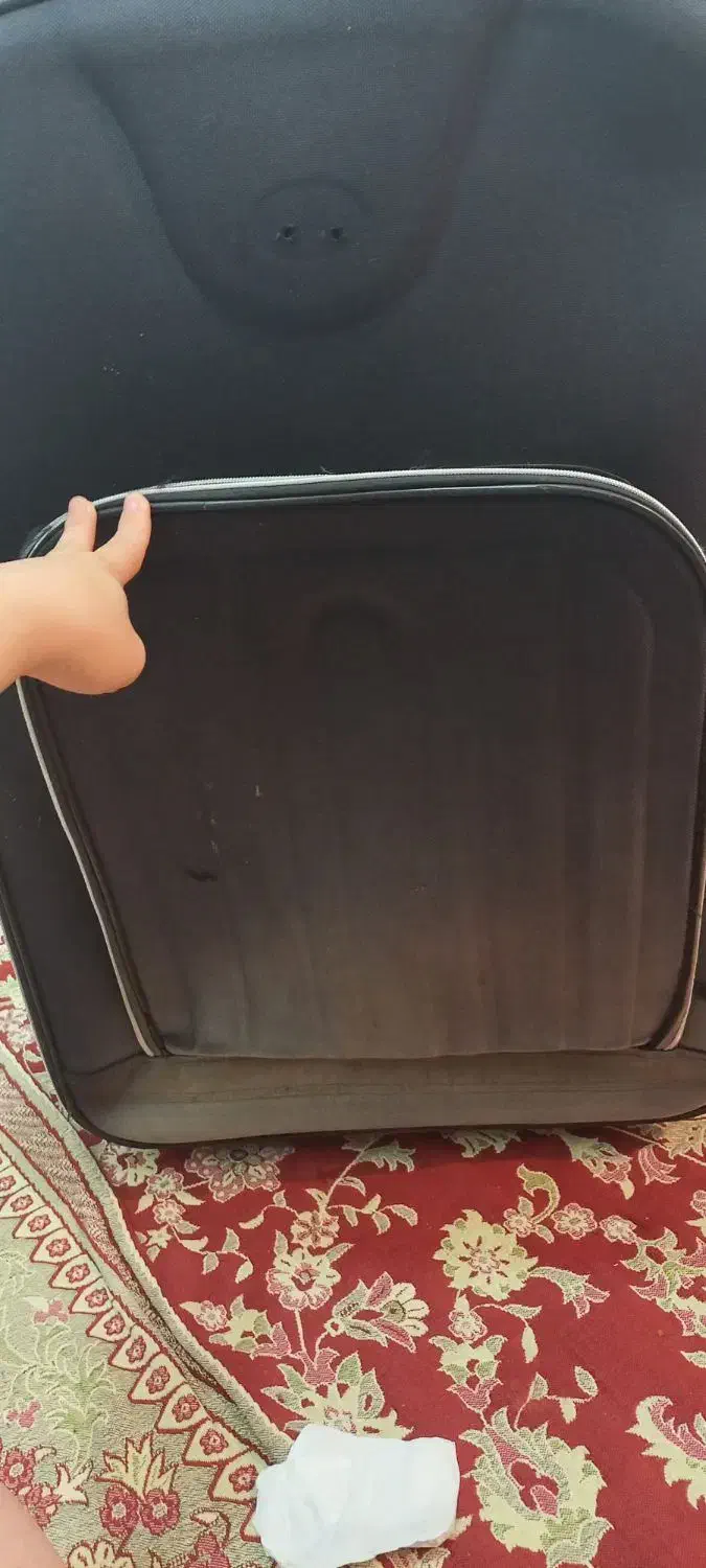 چمدان ۲عدد|کیف، کفش، کمربند|آستارا, |دیوار