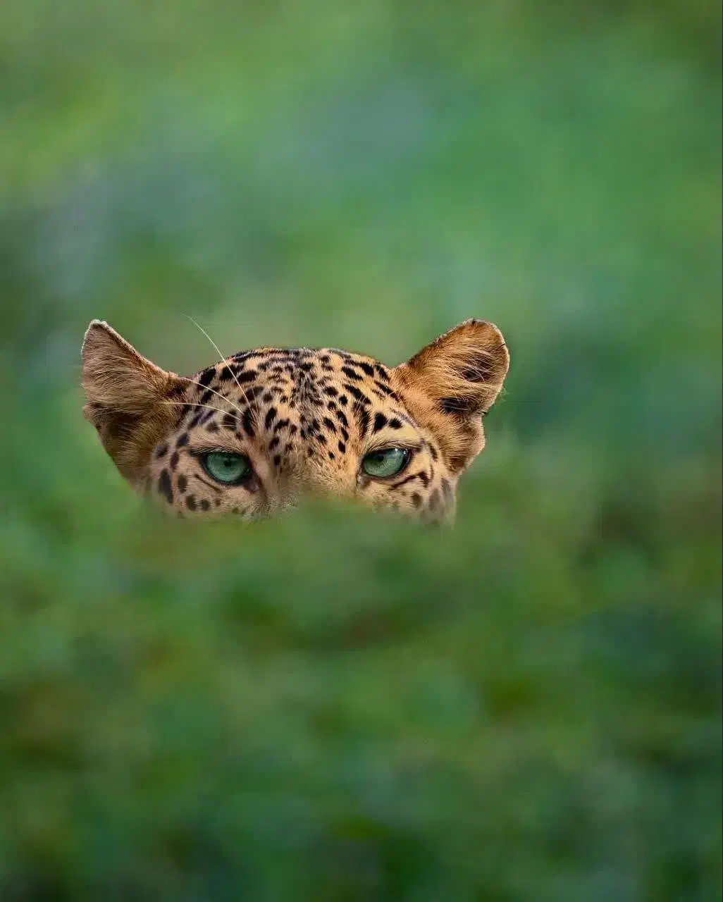 از الان ریاضی و شروع کن.چرا شب امتحان|خدمات آموزشی|تهران, دریاچه شهدای خلیج فارس|دیوار