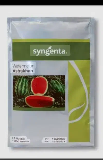 انواع بذر|خدمات باغبانی و درختکاری|شاهین‌شهر, شیخ بهایی|دیوار