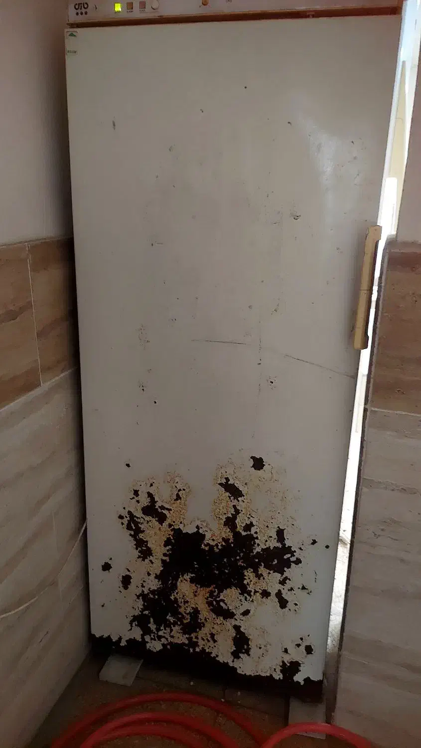 فریزر چندکشو پارس|یخچال و فریزر|لنگرود, |دیوار