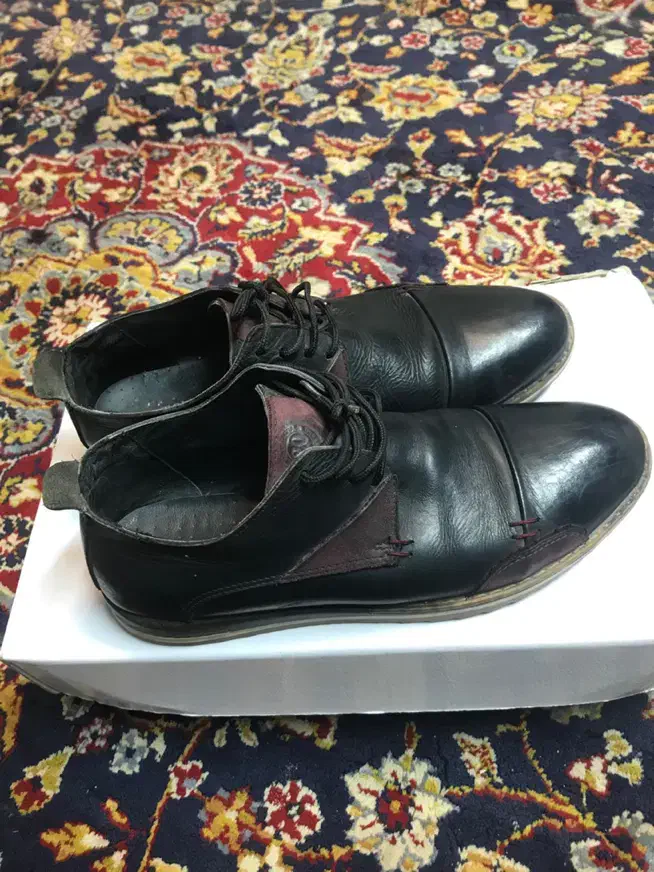 کتونی ارجینال|کیف، کفش، کمربند|برخوار, |دیوار