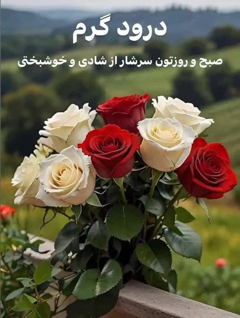 خانه ویلایی ۶۰متر مناسب دانشجو کارمند یاانبار|اجارهٔ آپارتمان|تهران, دانشگاه شریف|دیوار