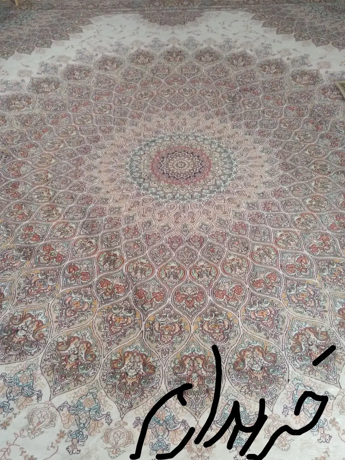 فرش|فرش|سبزوار, قلعه‌نو دهزار|دیوار