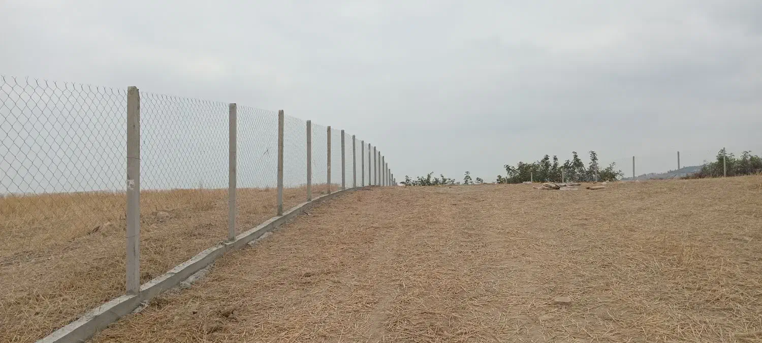 فنس شموشک|خدمات باغبانی و درختکاری|گرگان, |دیوار