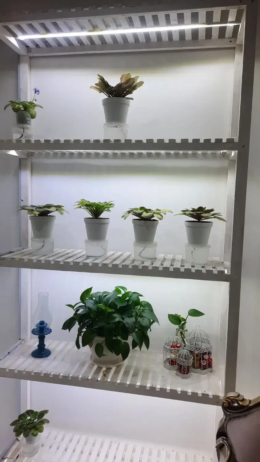 استند گل|کتابخانه، شلف، قفسه‌های دیواری|کرج, شاهین‌ویلا|دیوار