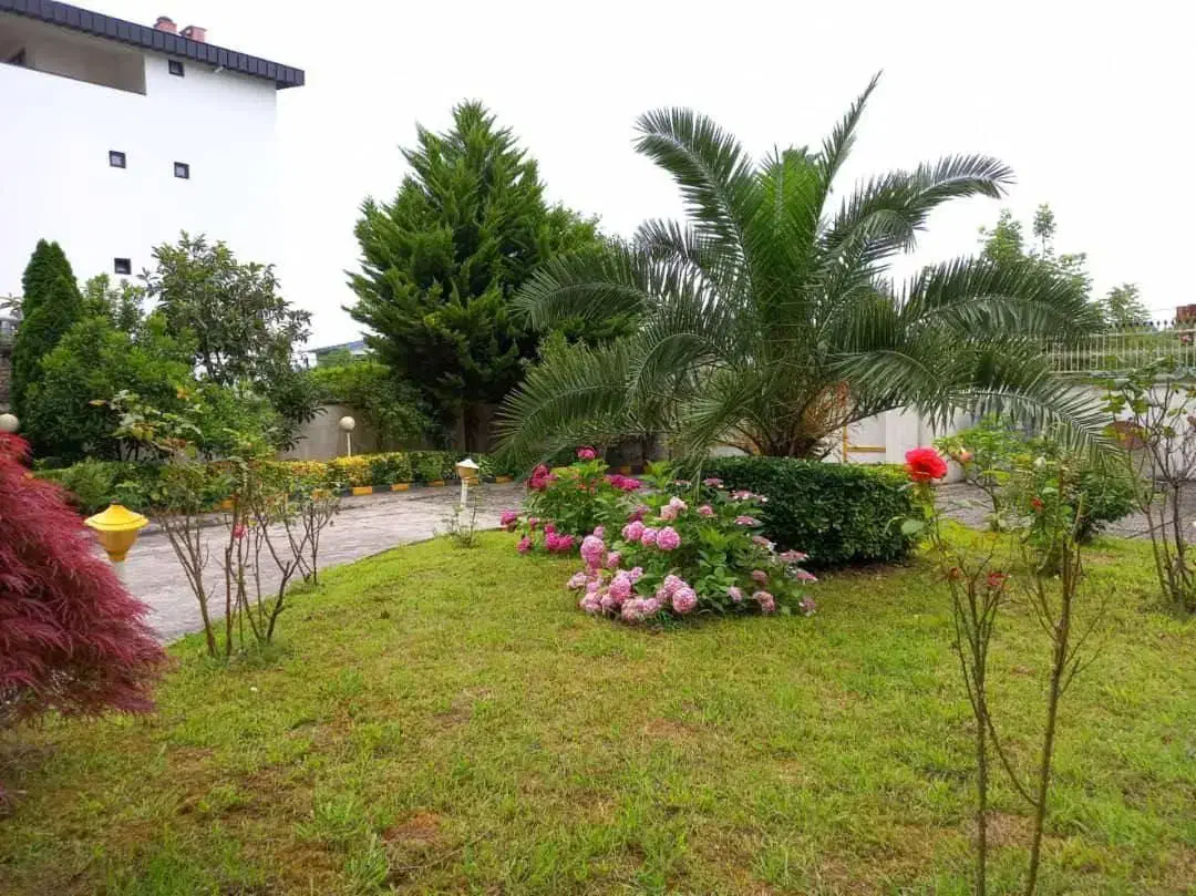 پارکویلای1700متری+فرنیشکامل+پلاکصفرجنگل+سندتکبرگ|فروش خانه و ویلا|نوشهر, |دیوار