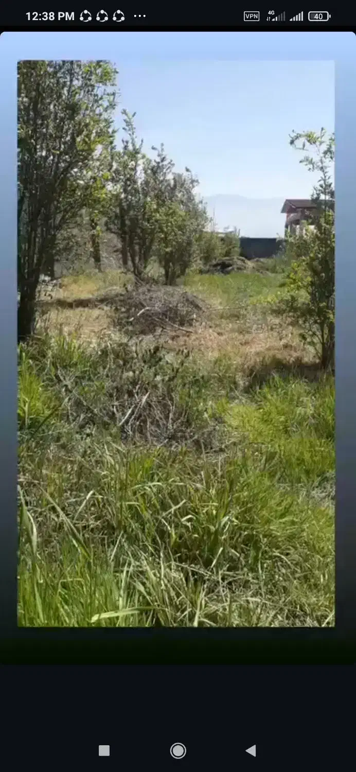 خدمات باغ و باغچه|خدمات باغبانی و درختکاری|گرگان, |دیوار