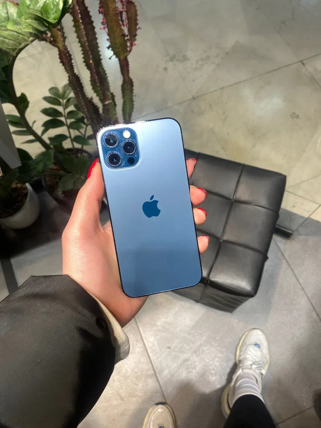 iPhone 12 Pro 256 ابی|موبایل|تهران, گیشا|دیوار