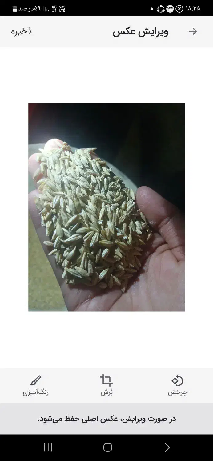 جو آبی|خوردنی و آشامیدنی|معصومیه, |دیوار