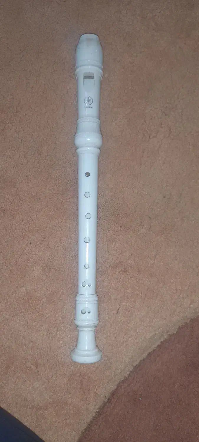 فلوت YAMAHA|سازهای بادی|اهواز, منبع اب|دیوار