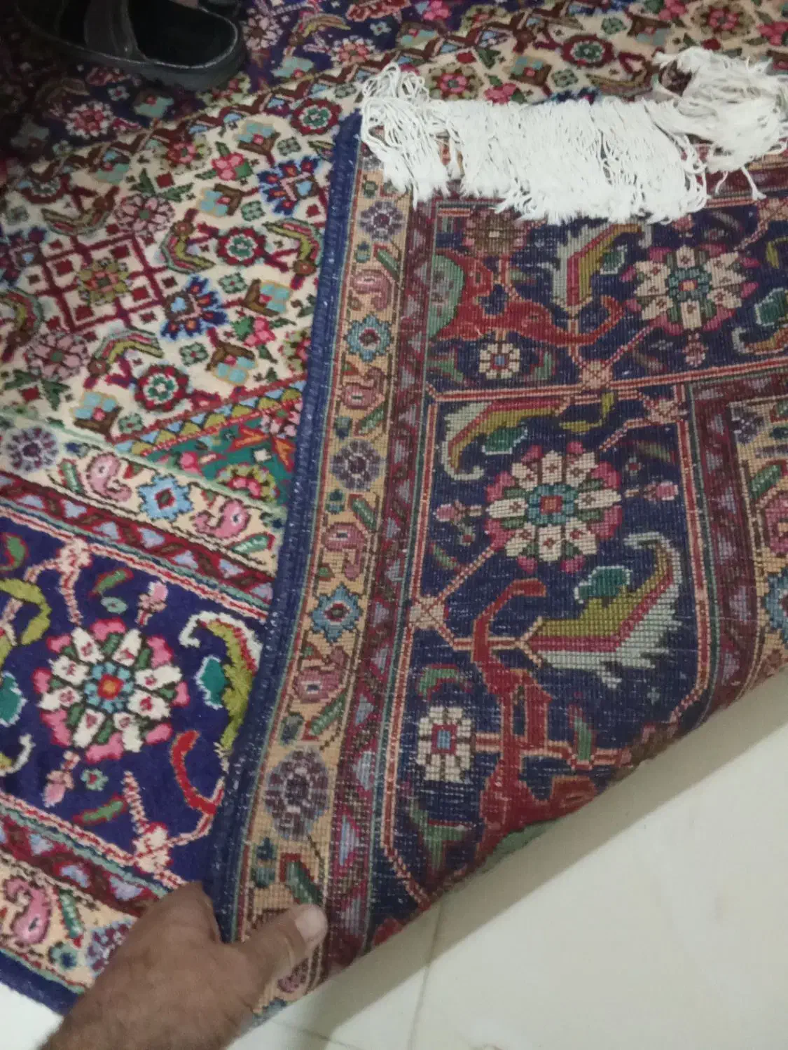 فرش ماهی دست بافت فرشی|فرش|تبریز, |دیوار